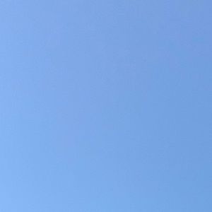 Meet your Posher, Penelope